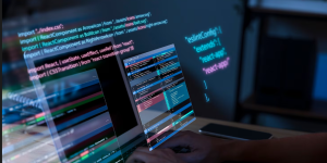 WordPress özel yazılım