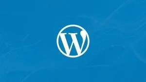 بهترین تم های وردپرس