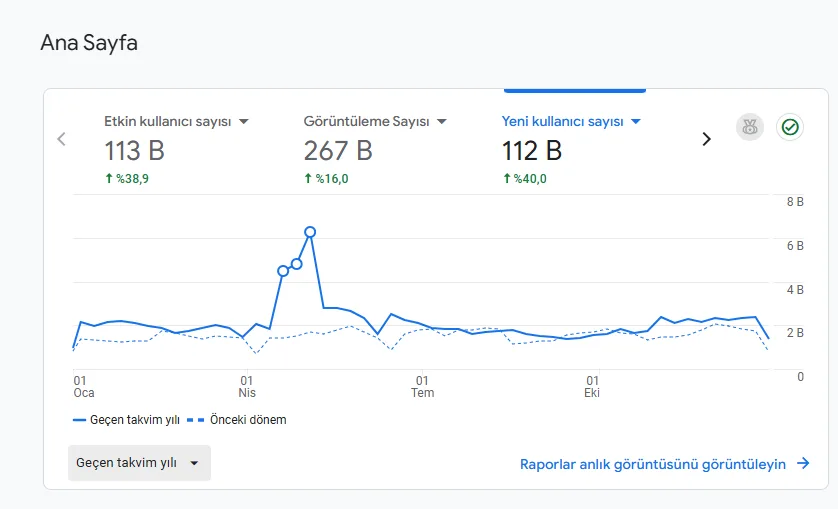 ENA Lab SEO Success Chart - Nanomedya